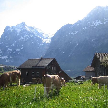 Chalet Baergblick Grindelwald Exteriér fotografie