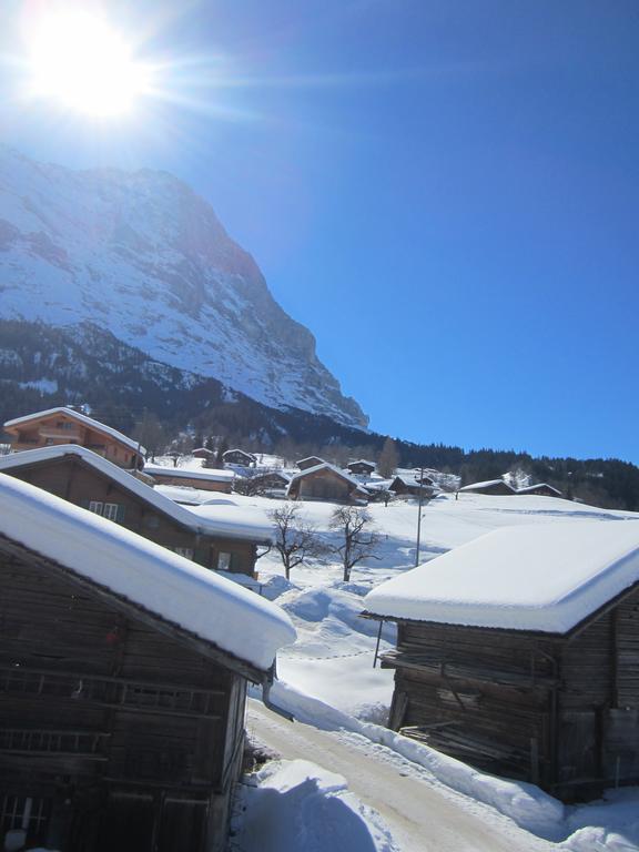 Chalet Baergblick Grindelwald Exteriér fotografie