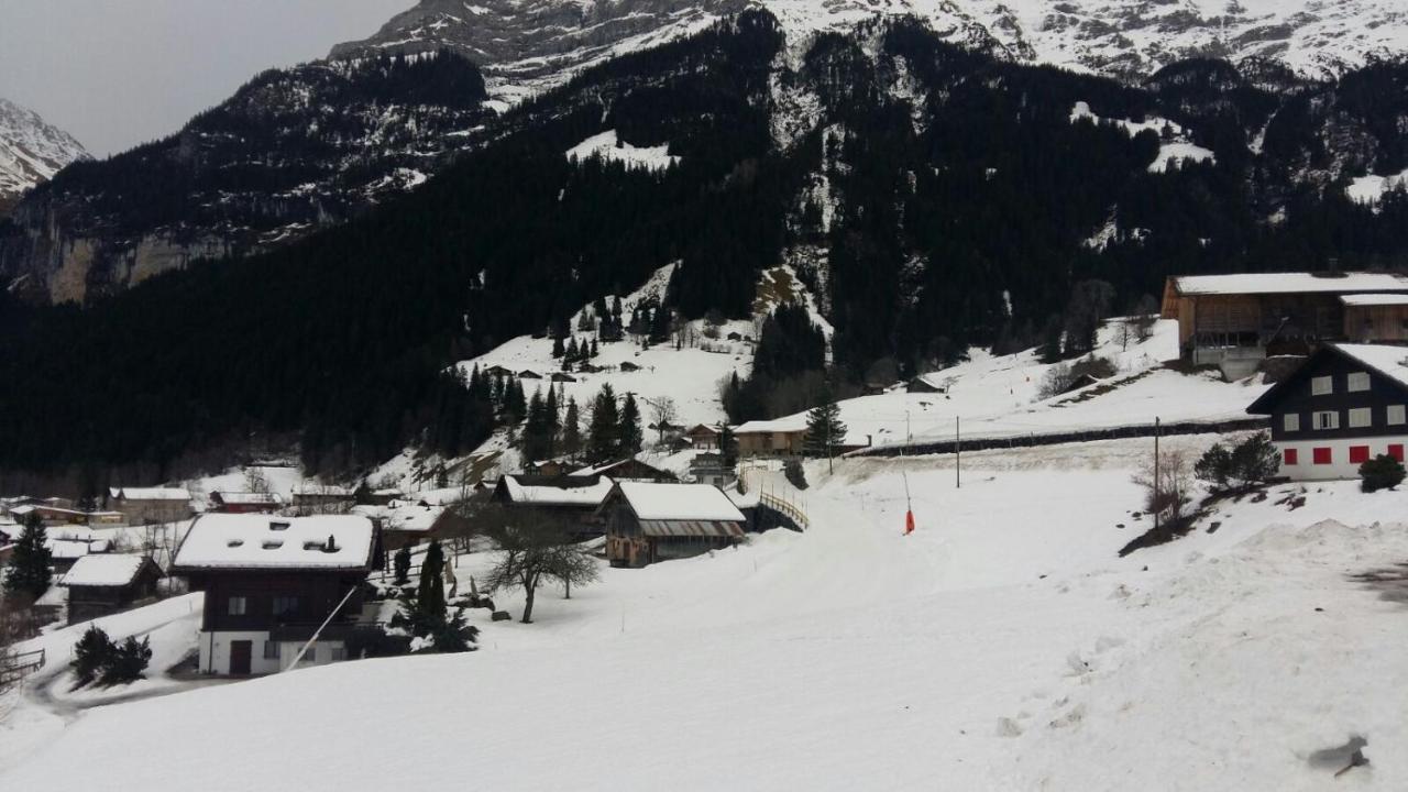Chalet Baergblick Grindelwald Exteriér fotografie